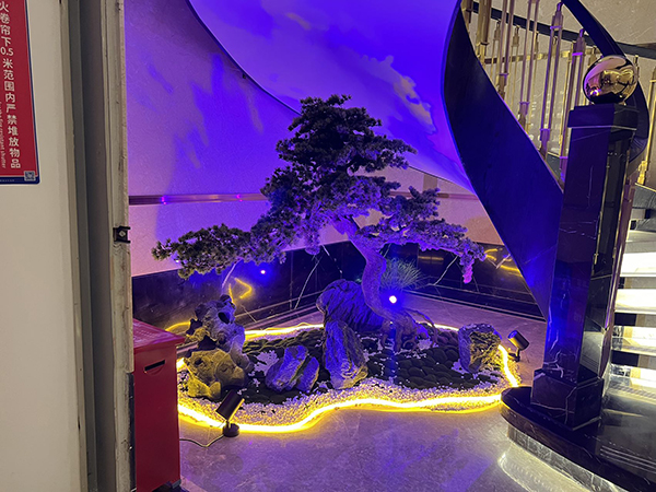 昨晚在新城吾悦广场顶级保健会所(新城吾悦广场海都休闲会所)